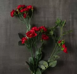 Cheapest 🔔 12 Pack: Dark Red Kate Rose Spray by Ashland® 🎁 9 Cheapest 🔔 12 Pack: Dark Red Kate Rose Spray by Ashland® 🎁 -Ashland Sale Store MP451131 25