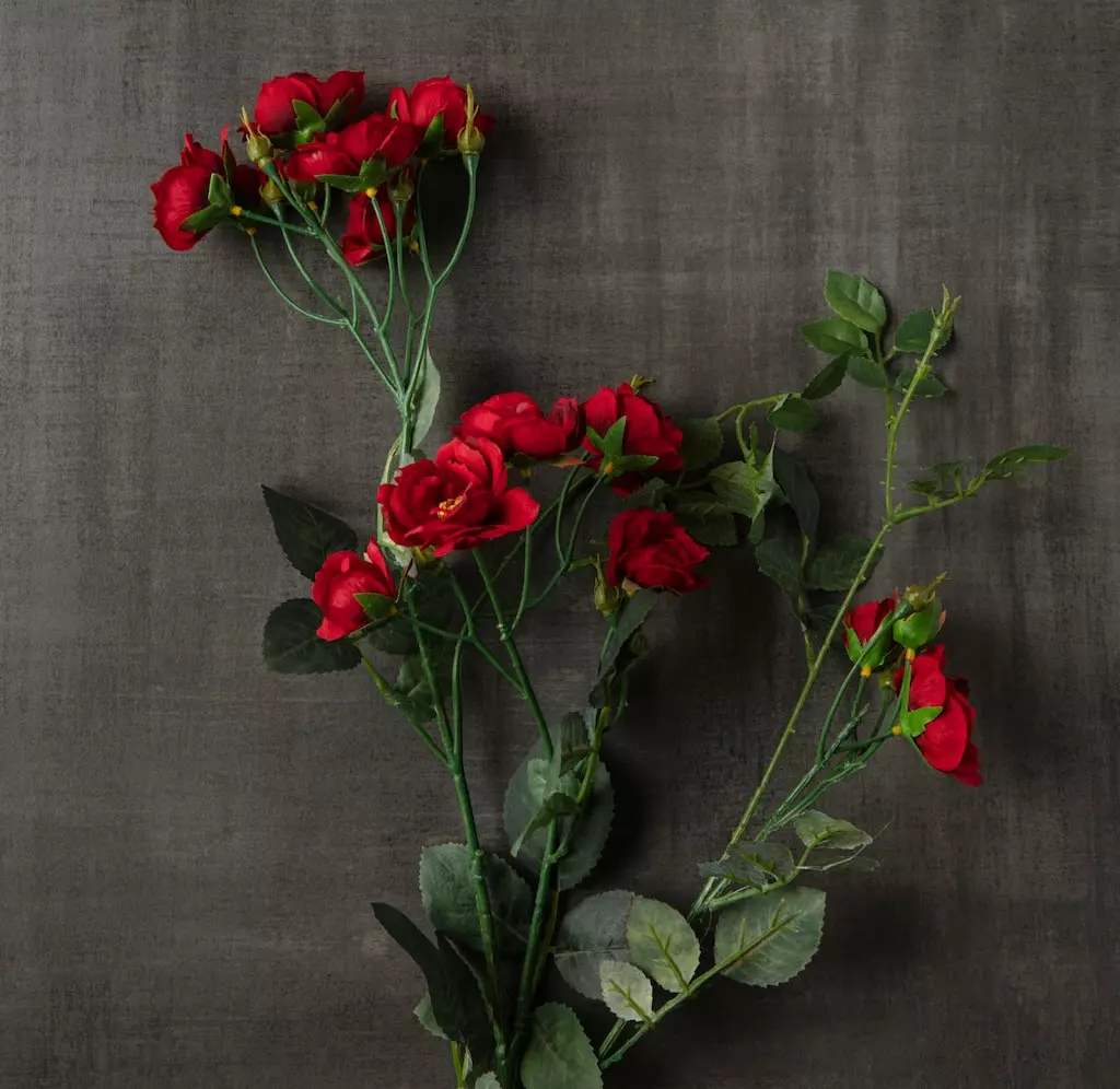 Cheapest 🔔 12 Pack: Dark Red Kate Rose Spray by Ashland® 🎁 6 Cheapest 🔔 12 Pack: Dark Red Kate Rose Spray by Ashland® 🎁 - Image 4