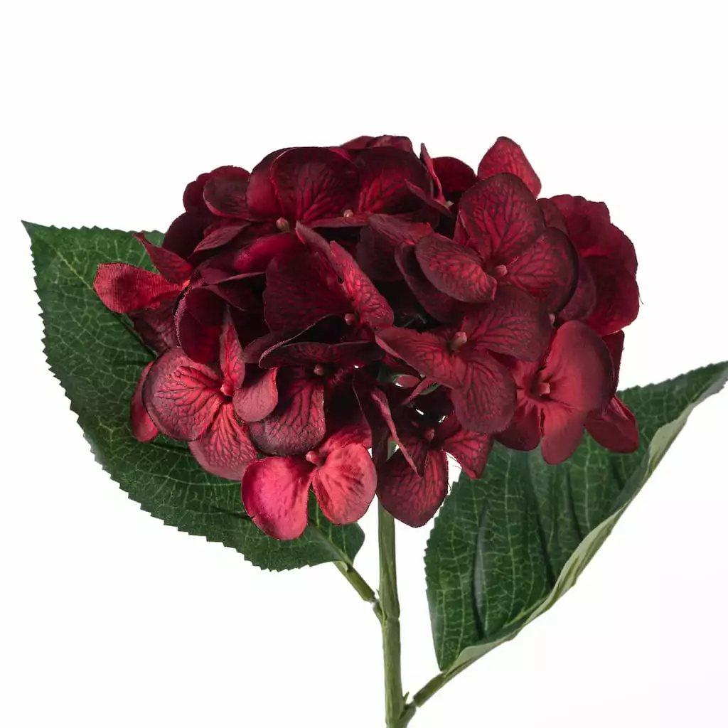 Budget 😍 12 Pack: Burgundy Hydrangea Stem by Ashland® ⭐ 6 Budget 😍 12 Pack: Burgundy Hydrangea Stem by Ashland® ⭐ - Image 4