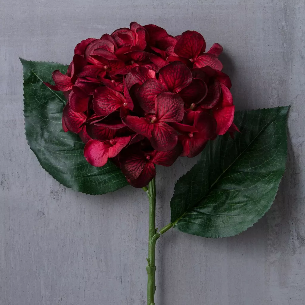 Budget 😍 12 Pack: Burgundy Hydrangea Stem by Ashland® ⭐ 4 Budget 😍 12 Pack: Burgundy Hydrangea Stem by Ashland® ⭐ - Image 2