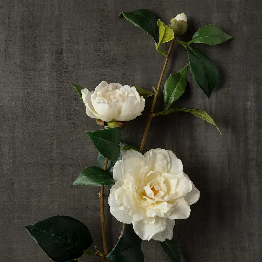 Coupon ๐ 6 Pack: White Camellia Spray by Ashland® ๐ 5 Coupon ๐ 6 Pack: White Camellia Spray by Ashland® ๐ - Image 3