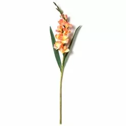 New ✔️ 12 Pack: Salmon Gladiolus Stem by Ashland® ✨ 8 New ✔️ 12 Pack: Salmon Gladiolus Stem by Ashland® ✨ -Ashland Sale Store MP451152 21