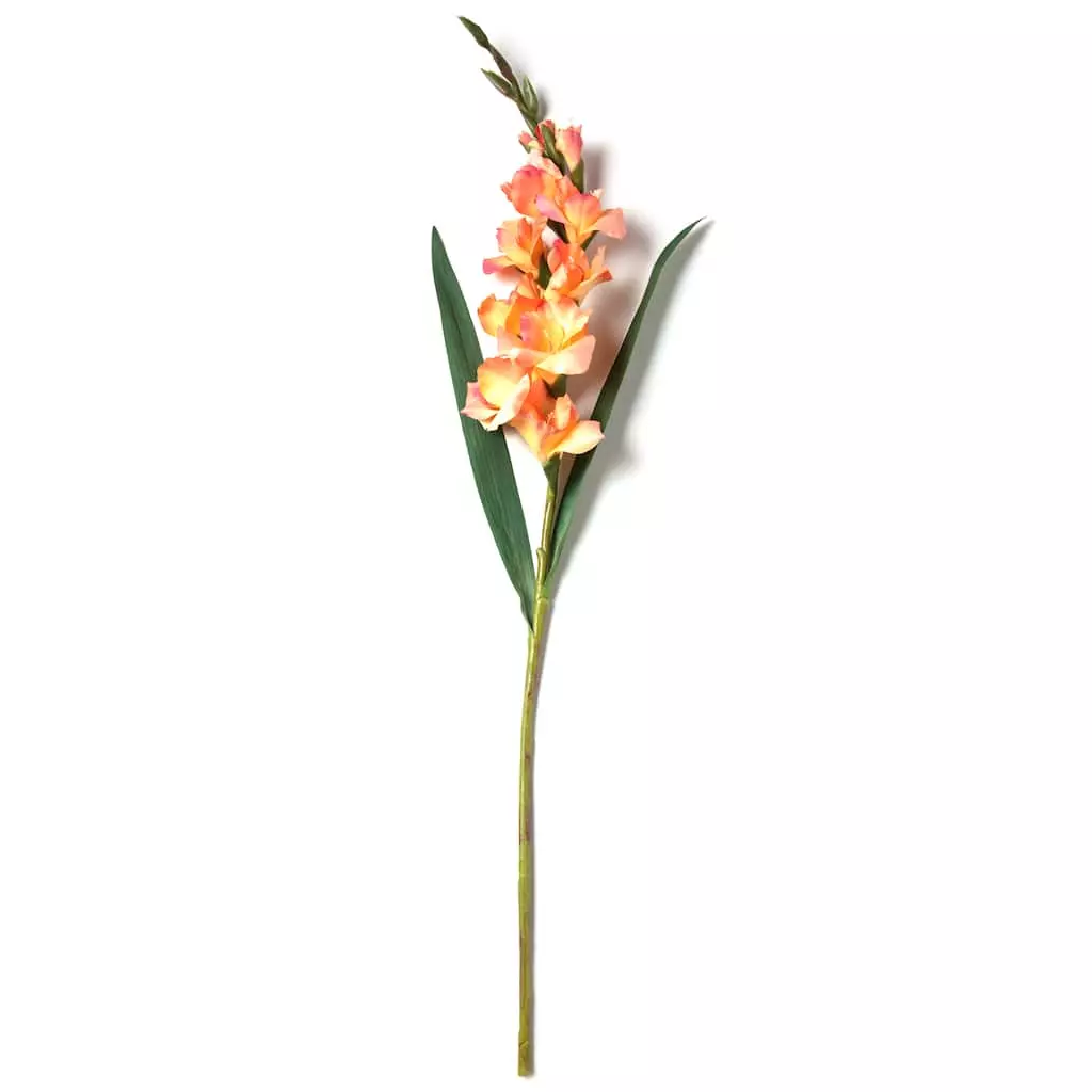 New ✔️ 12 Pack: Salmon Gladiolus Stem by Ashland® ✨ 5 New ✔️ 12 Pack: Salmon Gladiolus Stem by Ashland® ✨ - Image 3