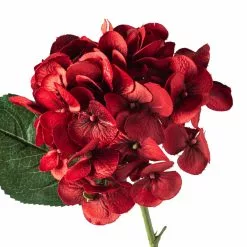 Discount ā 12 Pack: Red Hydrangea Stem by Ashland® š 9 Discount ā 12 Pack: Red Hydrangea Stem by Ashland® š -Ashland Sale Store MP451155 20
