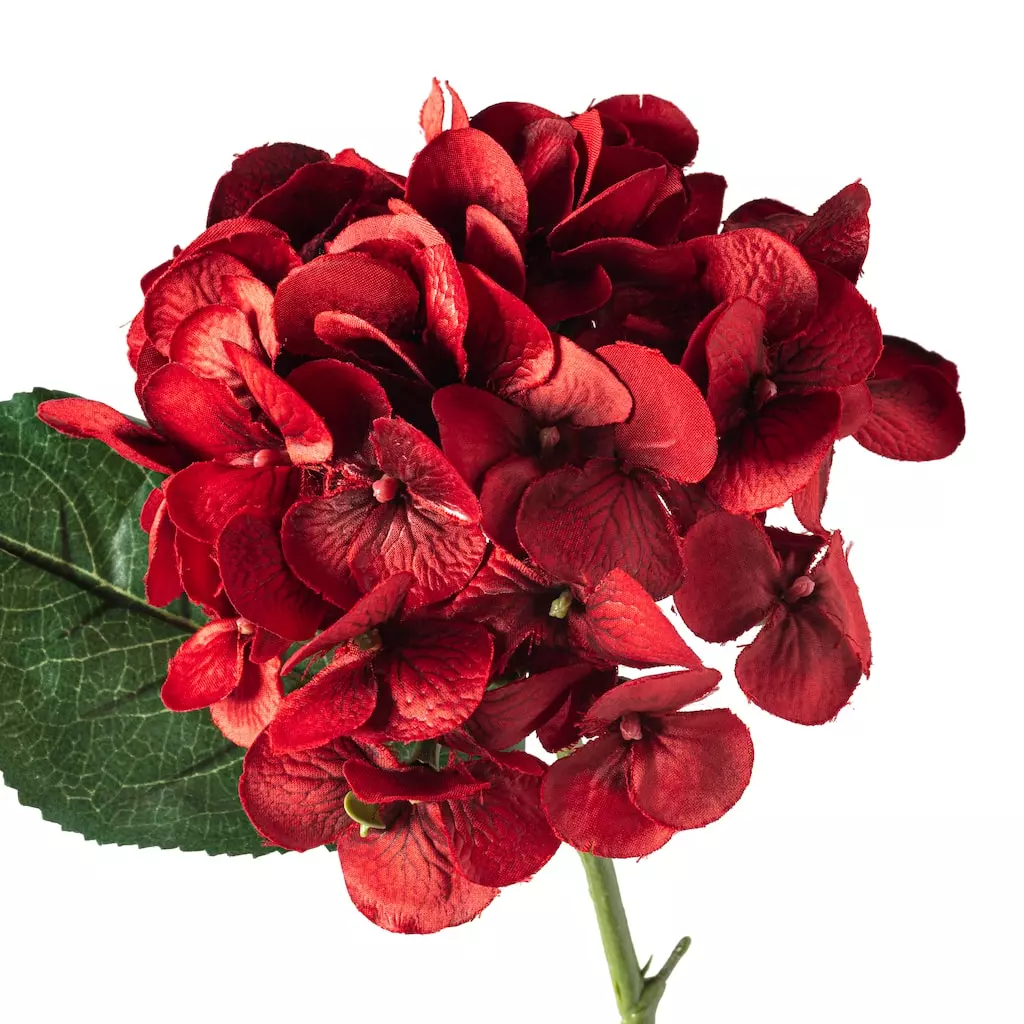 Discount ā 12 Pack: Red Hydrangea Stem by Ashland® š 6 Discount ā 12 Pack: Red Hydrangea Stem by Ashland® š - Image 4