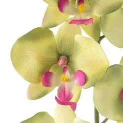 Top 10 🌟 12 Pack: Green & Pink Orchid Spray by Ashland® 😉 -Ashland Sale Store MP459035 20