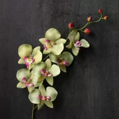 Top 10 🌟 12 Pack: Green & Pink Orchid Spray by Ashland® 😉 -Ashland Sale Store MP459035 22