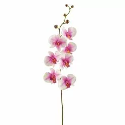 Coupon ⌛ 12 Pack: Pink & White Orchid Spray by Ashland® 💯