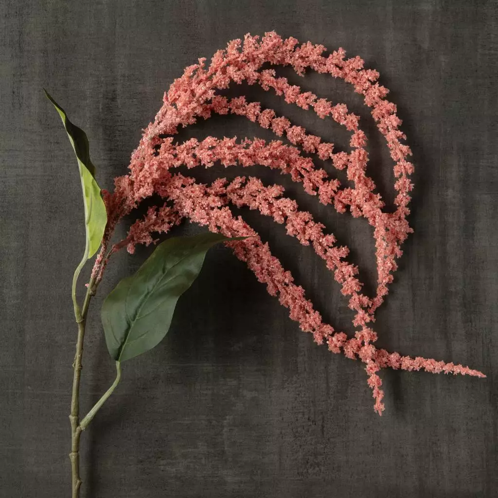 Discount ⭐ 12 Pack: Pink & Cream Amaranthus Stem by Ashland® ✨ 6 Discount ⭐ 12 Pack: Pink & Cream Amaranthus Stem by Ashland® ✨ - Image 4