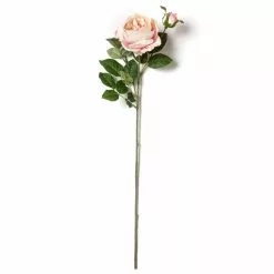 Flash Sale 🤩 12 Pack: Light Pink English Rose Stem by Ashland® ✔️ -Ashland Sale Store MP461605 21