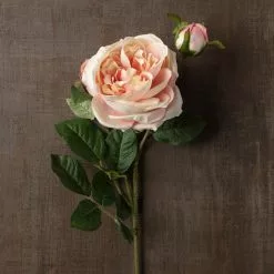 Flash Sale 🤩 12 Pack: Light Pink English Rose Stem by Ashland® ✔️ -Ashland Sale Store MP461605 25