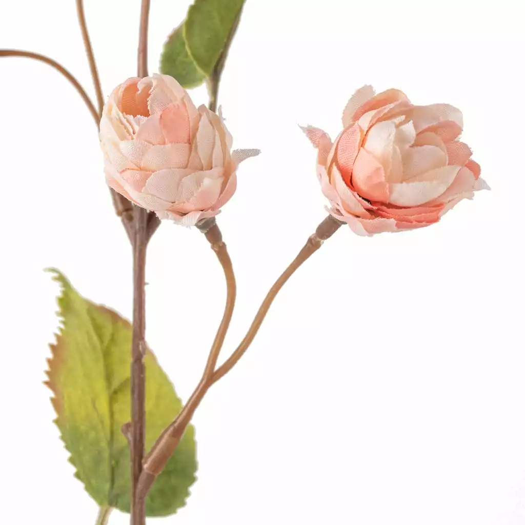 Deals 🤩 12 Pack: Blush Hops Stem by Ashland® 😉 4 Deals 🤩 12 Pack: Blush Hops Stem by Ashland® 😉 - Image 2