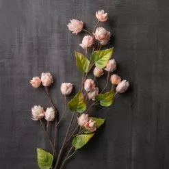 Deals 🤩 12 Pack: Blush Hops Stem by Ashland® 😉 9 Deals 🤩 12 Pack: Blush Hops Stem by Ashland® 😉 -Ashland Sale Store MP461606 22