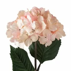 Promo ⭐ 12 Pack: Peach Pink Hydrangea Stem by Ashland® 🔔 -Ashland Sale Store MP461651 20