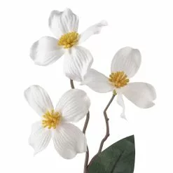 Coupon ✨ 12 Pack: White Mini Dogwood Stem by Ashland® ⭐ -Ashland Sale Store MP461654 20
