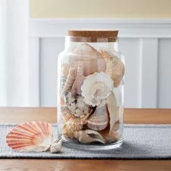 Discount ⌛ 12 Pack: 9" Terrarium Jar with Cork by Ashland® ⌛ -Ashland Sale Store MP466880 20