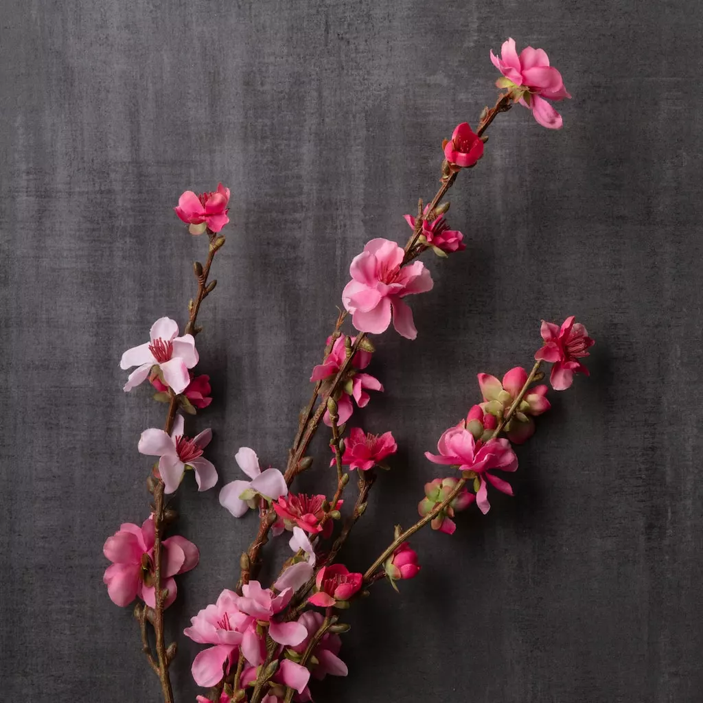 Discount ✔️ 12 Pack: Pink Peach Blossom Stem by Ashland® ⌛ 6 Discount ✔️ 12 Pack: Pink Peach Blossom Stem by Ashland® ⌛ - Image 4