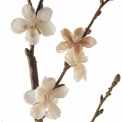 Buy ❤️ 12 Pack: Cream Peach Blossom Stem by Ashland® ✔️ 8 Buy ❤️ 12 Pack: Cream Peach Blossom Stem by Ashland® ✔️ -Ashland Sale Store MP468902 20