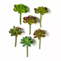 Discount 😉 12 Pack: Assorted Snap-On Succulent Pick by Ashland® 😍 -Ashland Sale Store MP482105 21