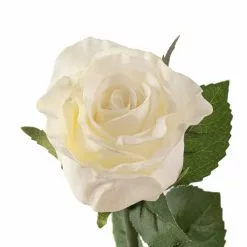 Best reviews of ✔️ 12 Pack: White Faux Rose by Ashland® ✨ -Ashland Sale Store MP501466 20