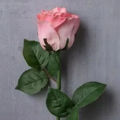 Best reviews of ⭐ 12 Pack: Light Pink Faux Rose by Ashland® 🧨 -Ashland Sale Store MP501467 22