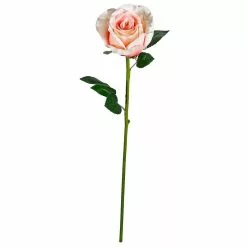 Cheapest 😉 12 Pack: Coral Faux Rose by Ashland® 🤩