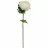 Best reviews of ✔️ 12 Pack: White King Peony Stem by Ashland® ⭐ 1 Best reviews of ✔️ 12 Pack: White King Peony Stem by Ashland® ⭐ -Ashland Sale Store MP501479 1