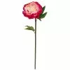 Best reviews of 🛒 12 Pack: Fuchsia King Peony Stem by Ashland® 😍 -Ashland Sale Store MP501483 1