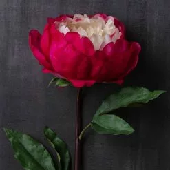 Best reviews of 🛒 12 Pack: Fuchsia King Peony Stem by Ashland® 😍 -Ashland Sale Store MP501483 22