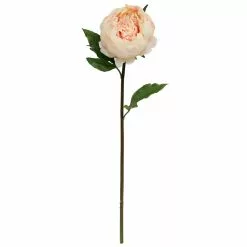 Cheap ⭐ 12 Pack: Peach King Peony Stem by Ashland® 🔔