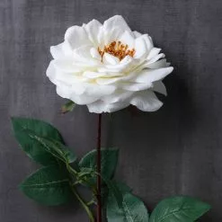 Cheapest 👏 12 Pack: White Orlane Rose Stem by Ashland® ✔️ -Ashland Sale Store MP501485 22