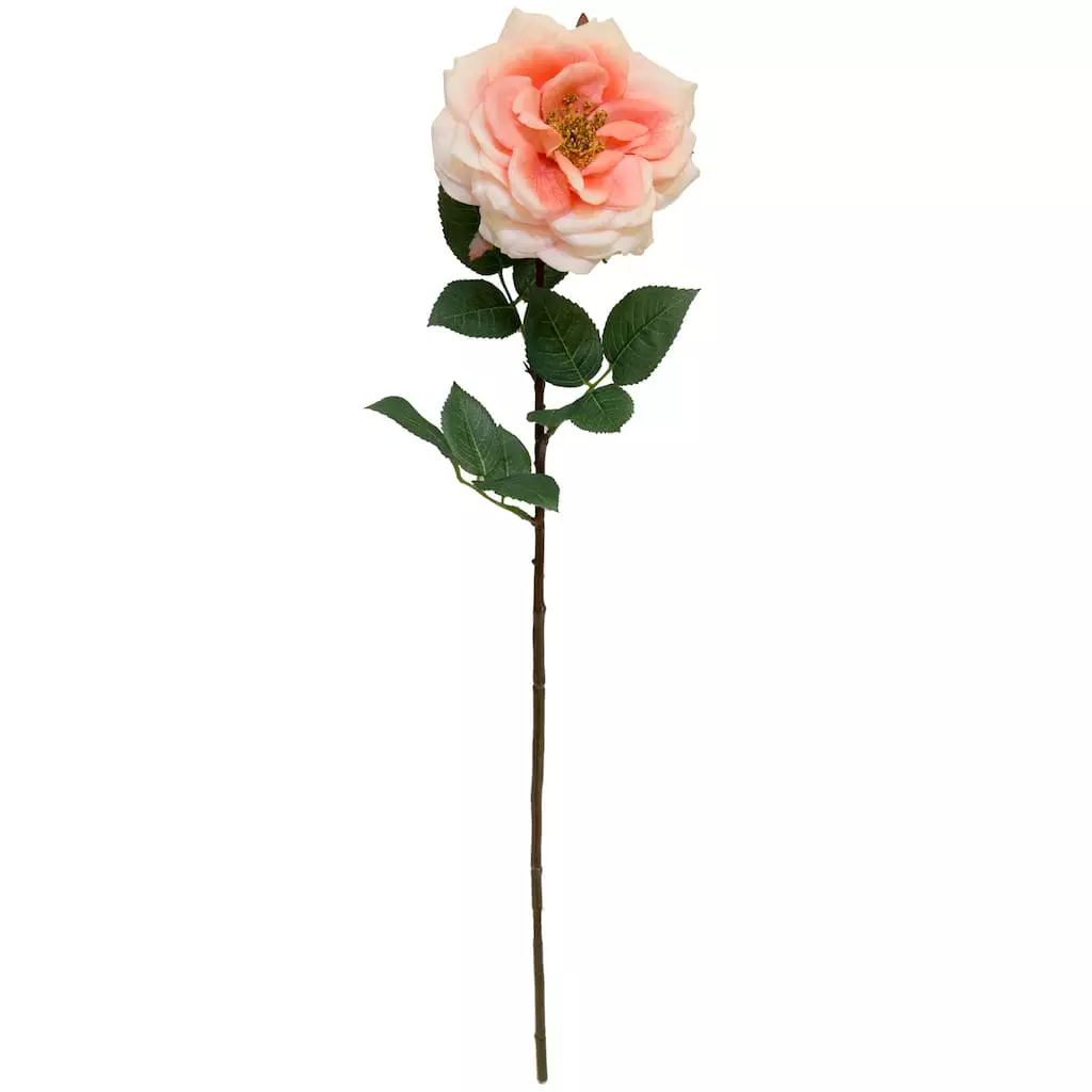 Flash Sale ⌛ 12 Pack: Coral Orlane Rose Stem by Ashland® ❤️ 3 Flash Sale ⌛ 12 Pack: Coral Orlane Rose Stem by Ashland® ❤️