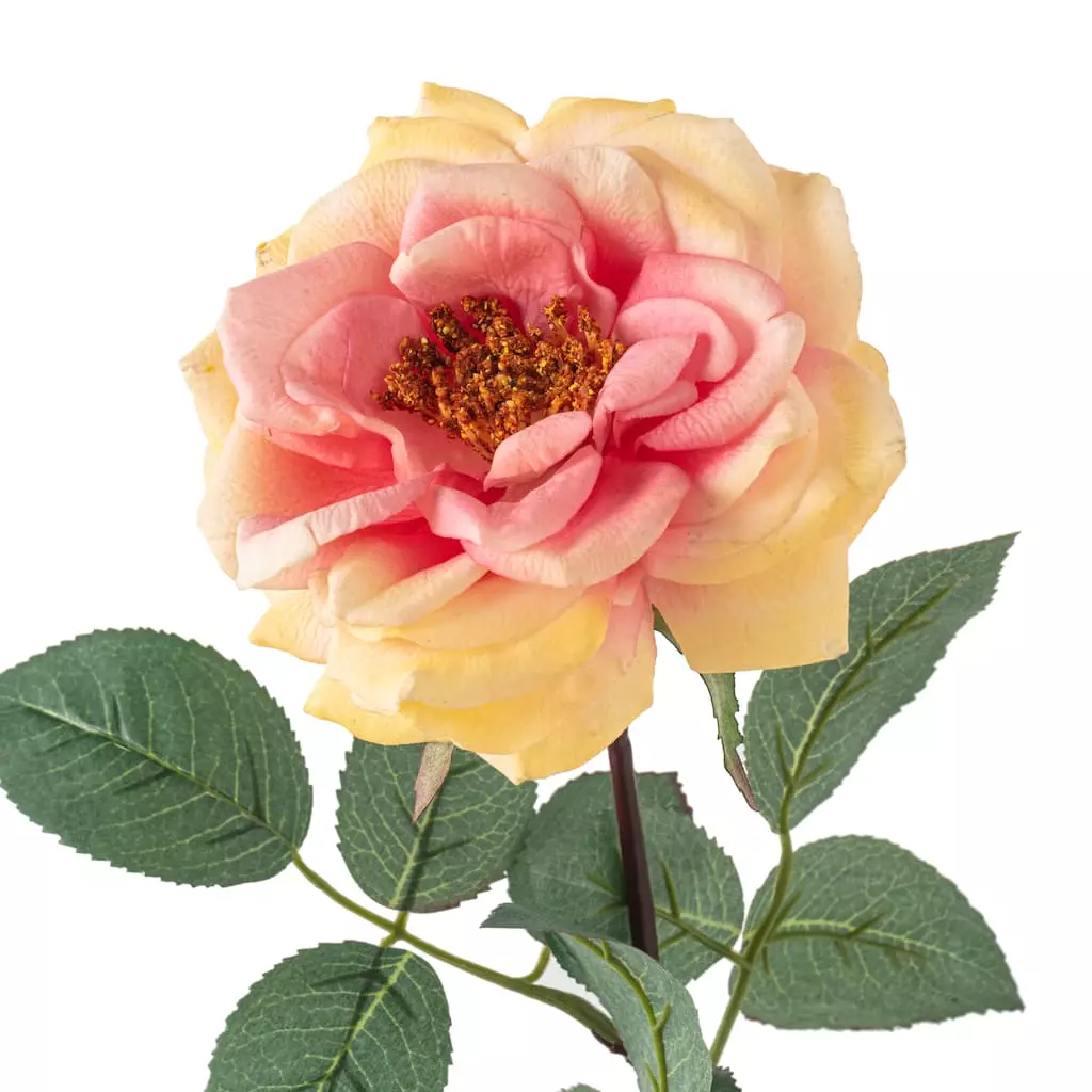 Flash Sale ⌛ 12 Pack: Coral Orlane Rose Stem by Ashland® ❤️ 5 Flash Sale ⌛ 12 Pack: Coral Orlane Rose Stem by Ashland® ❤️ - Image 3