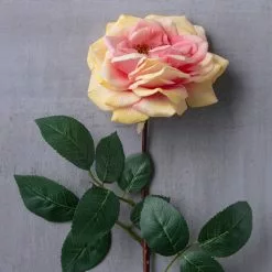 Flash Sale ⌛ 12 Pack: Coral Orlane Rose Stem by Ashland® ❤️ 7 Flash Sale ⌛ 12 Pack: Coral Orlane Rose Stem by Ashland® ❤️ -Ashland Sale Store MP501486 22