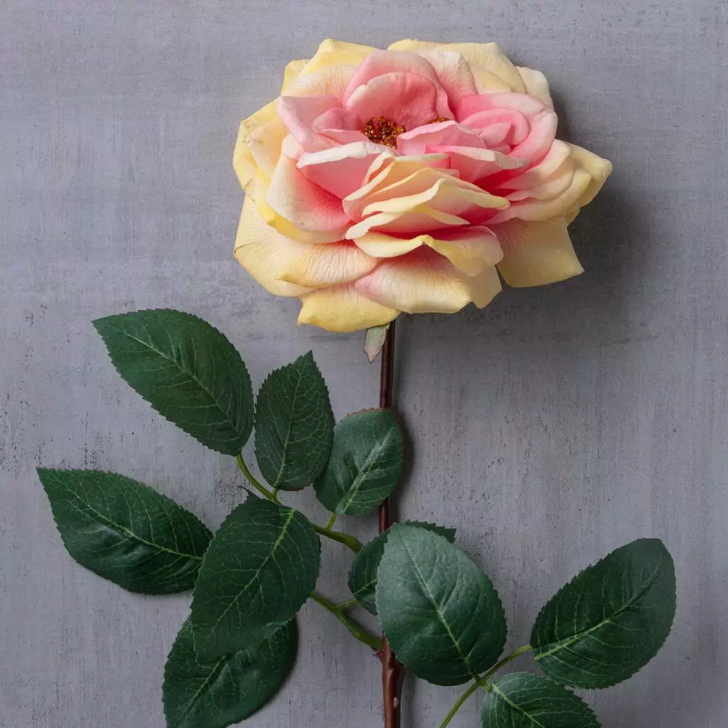 Flash Sale ⌛ 12 Pack: Coral Orlane Rose Stem by Ashland® ❤️ 4 Flash Sale ⌛ 12 Pack: Coral Orlane Rose Stem by Ashland® ❤️ - Image 2