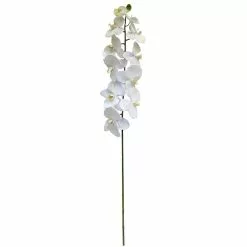 Budget ❤️ 8 Pack: White Orchid Stem by Ashland® 😀