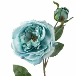 Coupon 💯 12 Pack: Teal English Rose Stem by Ashland® 🎁 -Ashland Sale Store MP501506 20