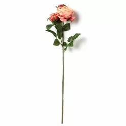 Best Sale ❤️ 12 Pack: Pink Coral English Rose Stem by Ashland® ✨ -Ashland Sale Store MP501509 21