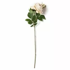 Outlet 🔥 12 Pack: Toast English Rose Stem by Ashland® 👍 -Ashland Sale Store MP501510 21