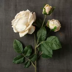 Outlet 🔥 12 Pack: Toast English Rose Stem by Ashland® 👍 -Ashland Sale Store MP501510 25