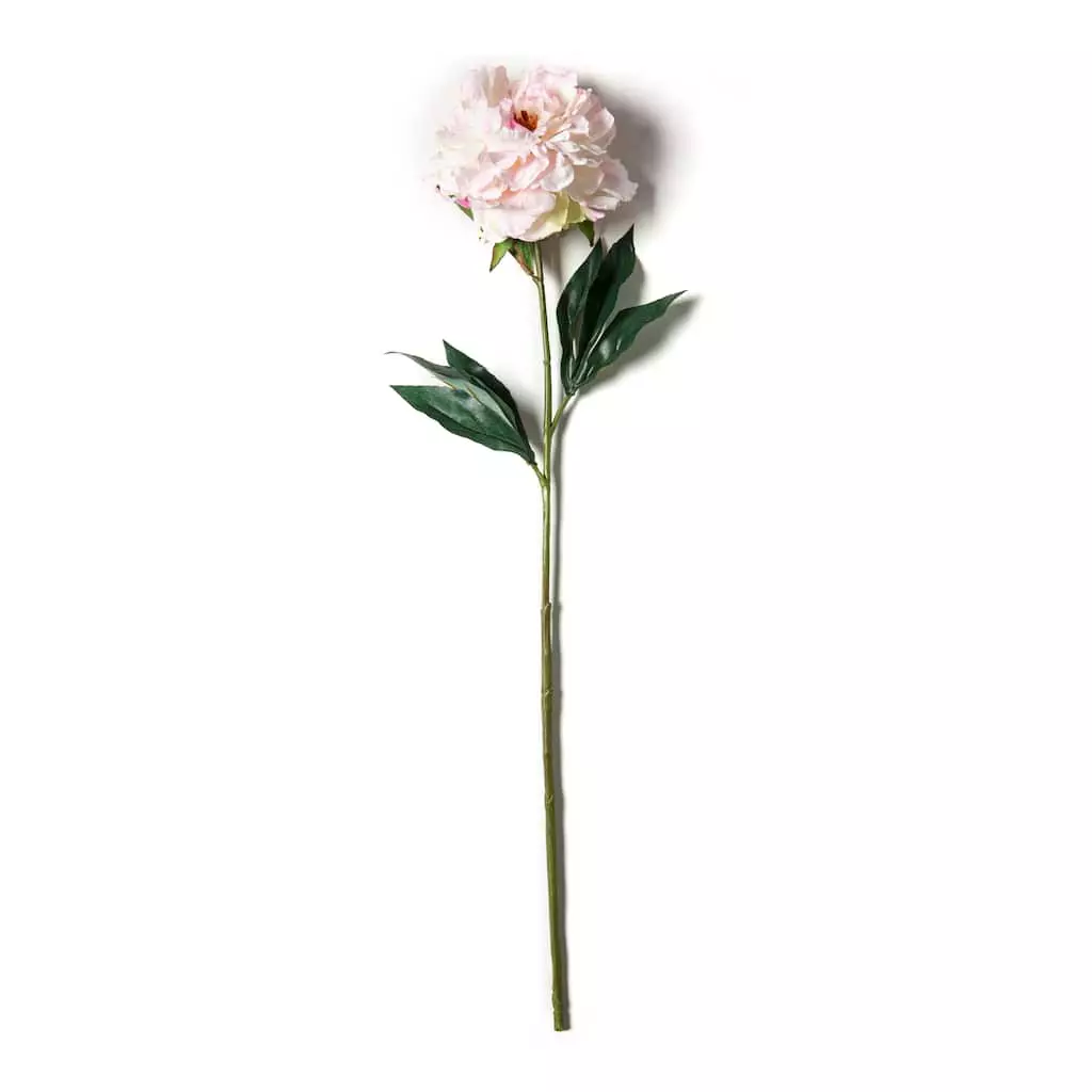 Promo 🎁 12 Pack: Light Pink Peony Stem by Ashland® ⌛ 4 Promo 🎁 12 Pack: Light Pink Peony Stem by Ashland® ⌛ - Image 2