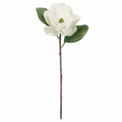 Brand new ๐ฅ 12 Pack: White Magnolia Stem by Ashland® ๐