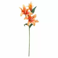 Best reviews of 👏 12 Pack: Flame Casablanca Lily Stem by Ashland® 👏