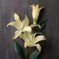 Best Pirce 🎁 12 Pack: White Casablanca Lily Stem by Ashland® 🥰 -Ashland Sale Store MP501958 22