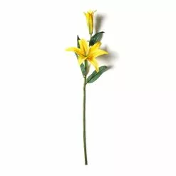 Cheap 🔔 12 Pack: Yellow Casablanca Lily Stem by Ashland® ⭐ -Ashland Sale Store MP501959 21