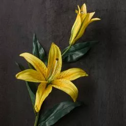 Cheap 🔔 12 Pack: Yellow Casablanca Lily Stem by Ashland® ⭐ -Ashland Sale Store MP501959 22