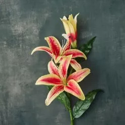 Budget 👍 12 Pack: Hot Pink Casablanca Lily Stem by Ashland® 😀 -Ashland Sale Store MP501960 20