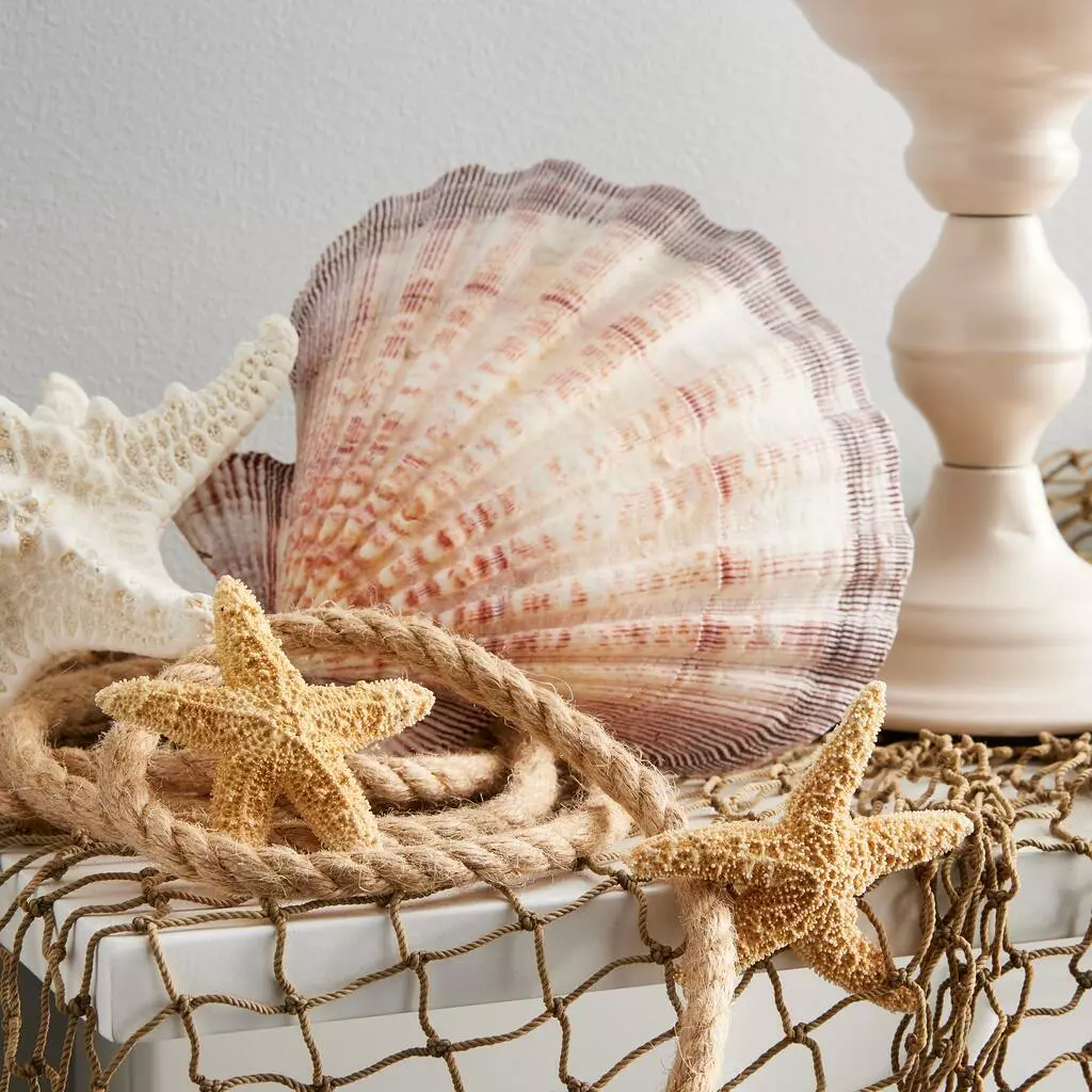 Buy 💯 12 Pack: 7mm Rope Spool by Ashland™ 🔔 4 Buy 💯 12 Pack: 7mm Rope Spool by Ashland™ 🔔 - Image 2