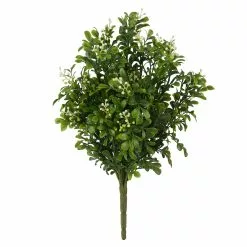 Buy ⌛ 9 Pack: Boxwood & Berry Bush by Ashland® ⭐