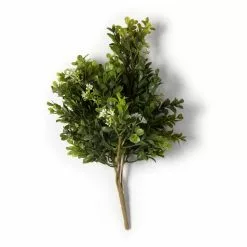 Buy ⌛ 9 Pack: Boxwood & Berry Bush by Ashland® ⭐ -Ashland Sale Store MP546917 21